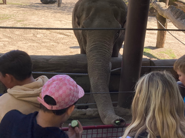 Design ohne Titel - 2026-04-26T171510.543