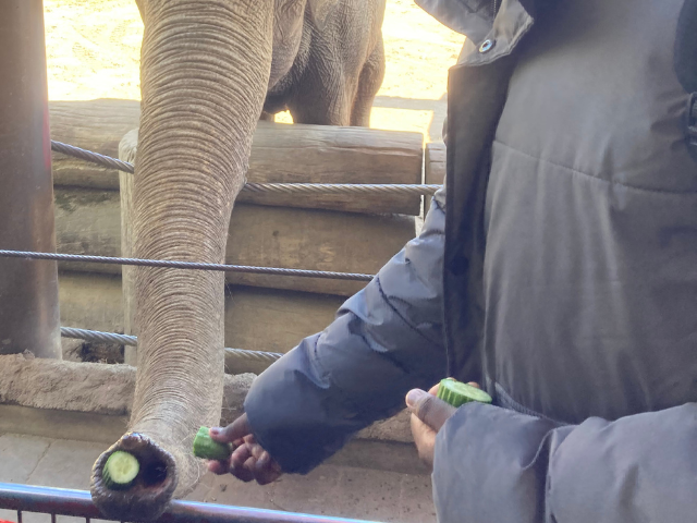 Design ohne Titel - 2026-04-26T171549.915