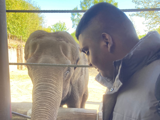 Design ohne Titel - 2026-04-26T171610.171