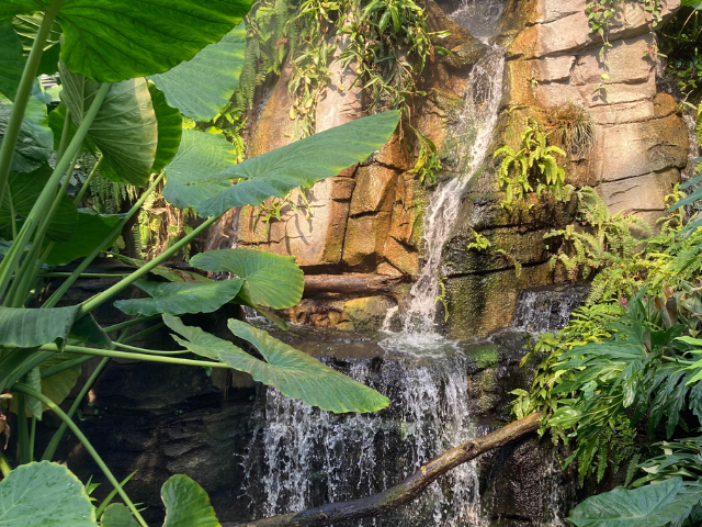 Design ohne Titel - 2026-04-26T171641.130