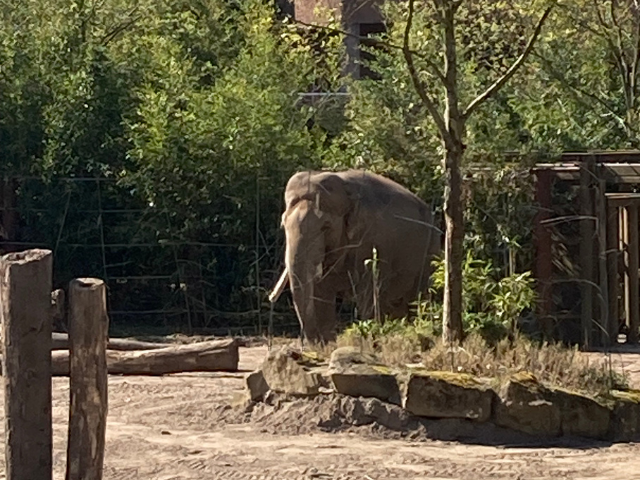 Design ohne Titel - 2026-04-26T171724.402