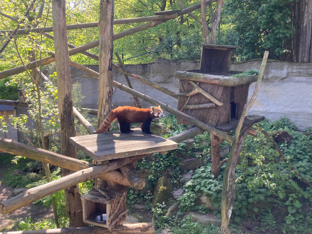 Design ohne Titel - 2026-04-26T171744.701