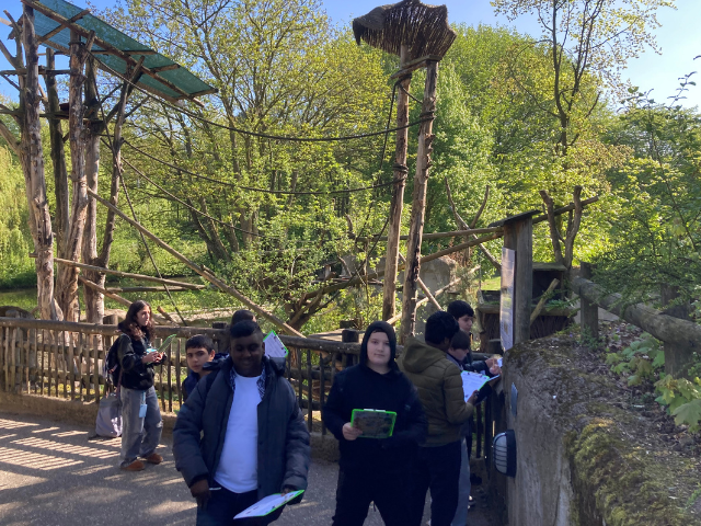 Design ohne Titel - 2026-04-26T171828.865