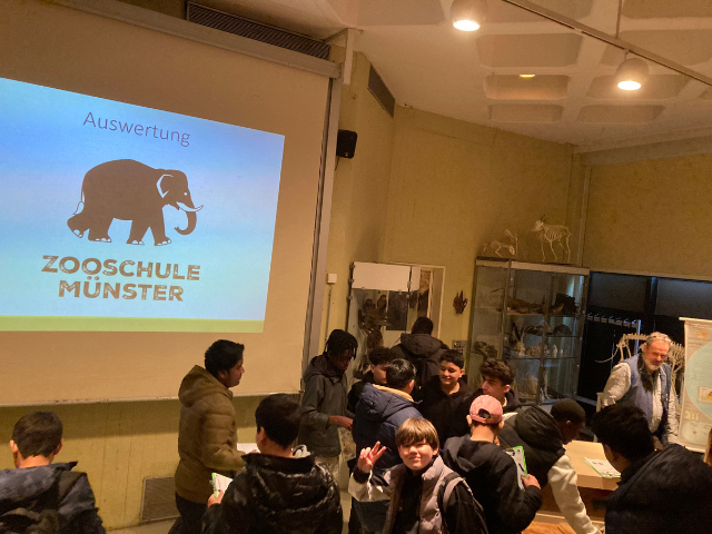 Design ohne Titel - 2026-04-26T171912.118