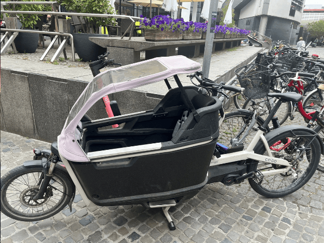 Der 8. Jahrgang auf digitaler Stadtrallye (3)