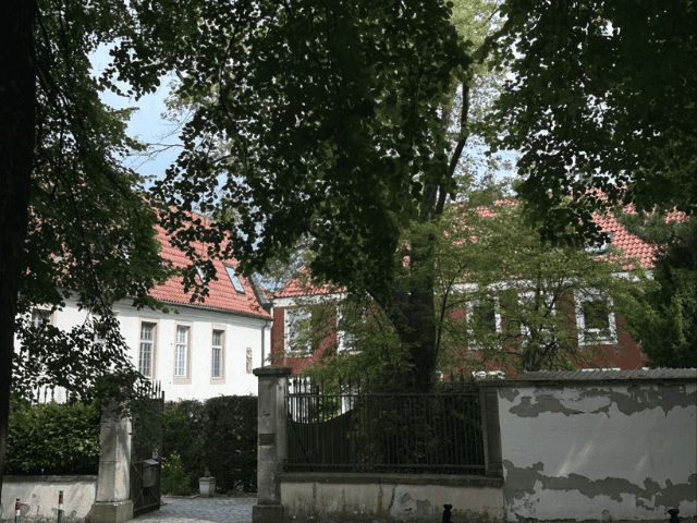 Der 8. Jahrgang auf digitaler Stadtrallye (7)